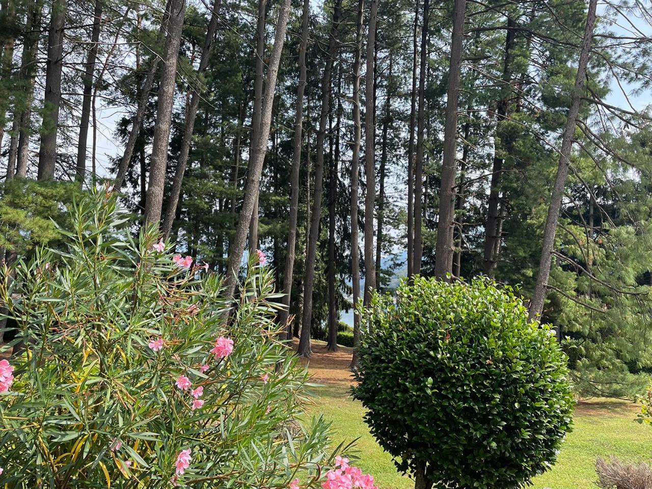 Villa Mario - Casa Vacanze Lavena Ponte Tresa Dış mekan fotoğraf